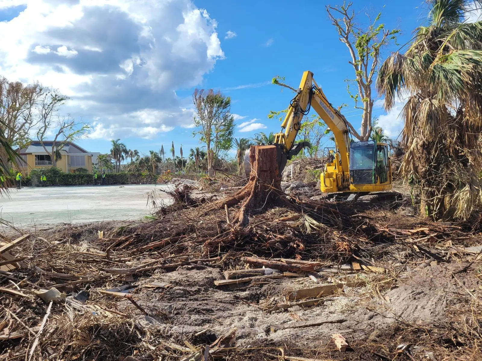An excavator pulling out a large tree stump while crews in safety vests work among hurricane debris