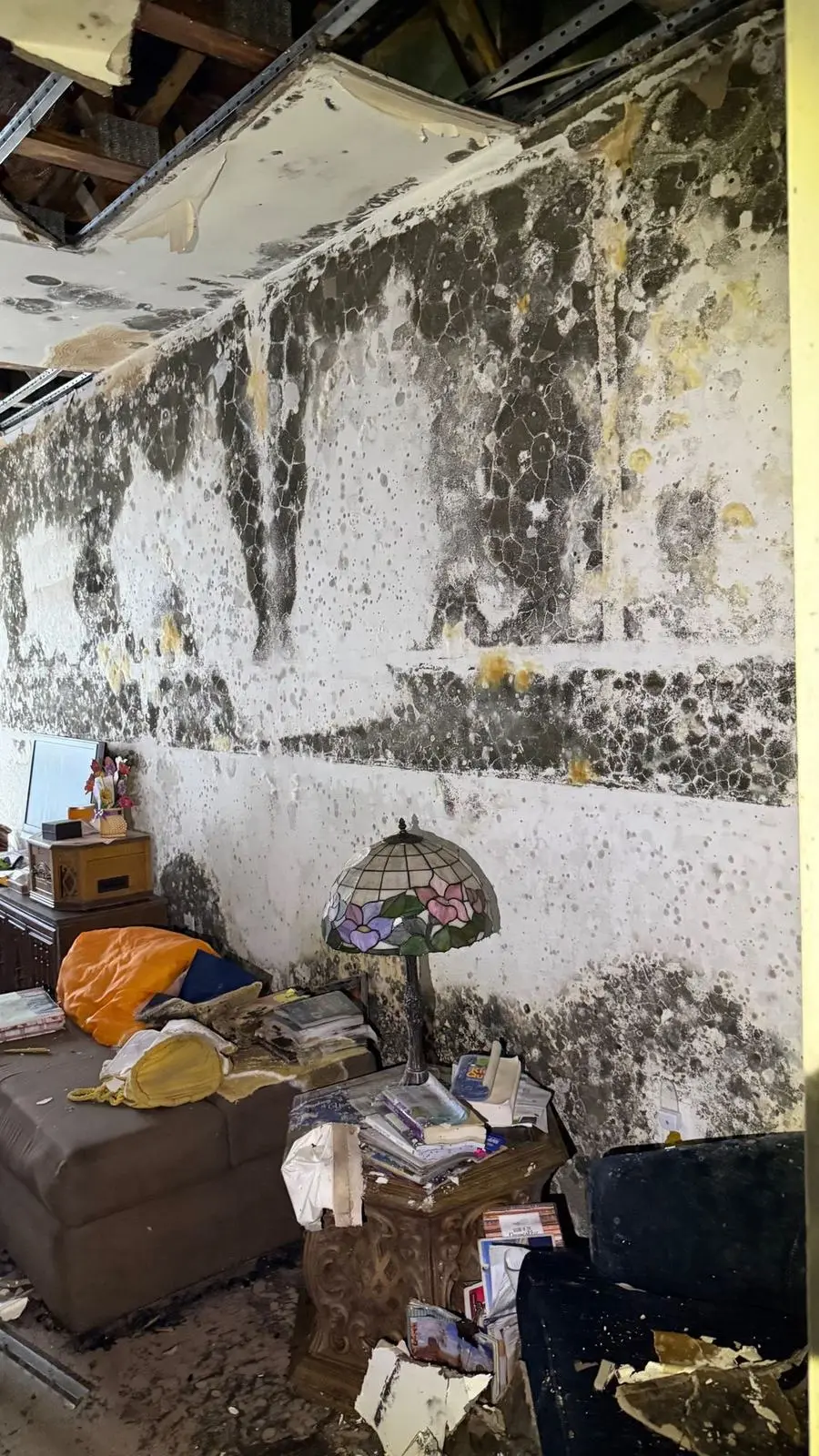 An interior wall covered in heavy dark contamination, with an opened ceiling above