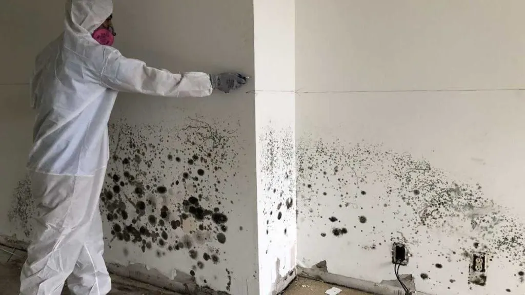 Worker in a protective suit and respirator inspecting mold growth on a wall